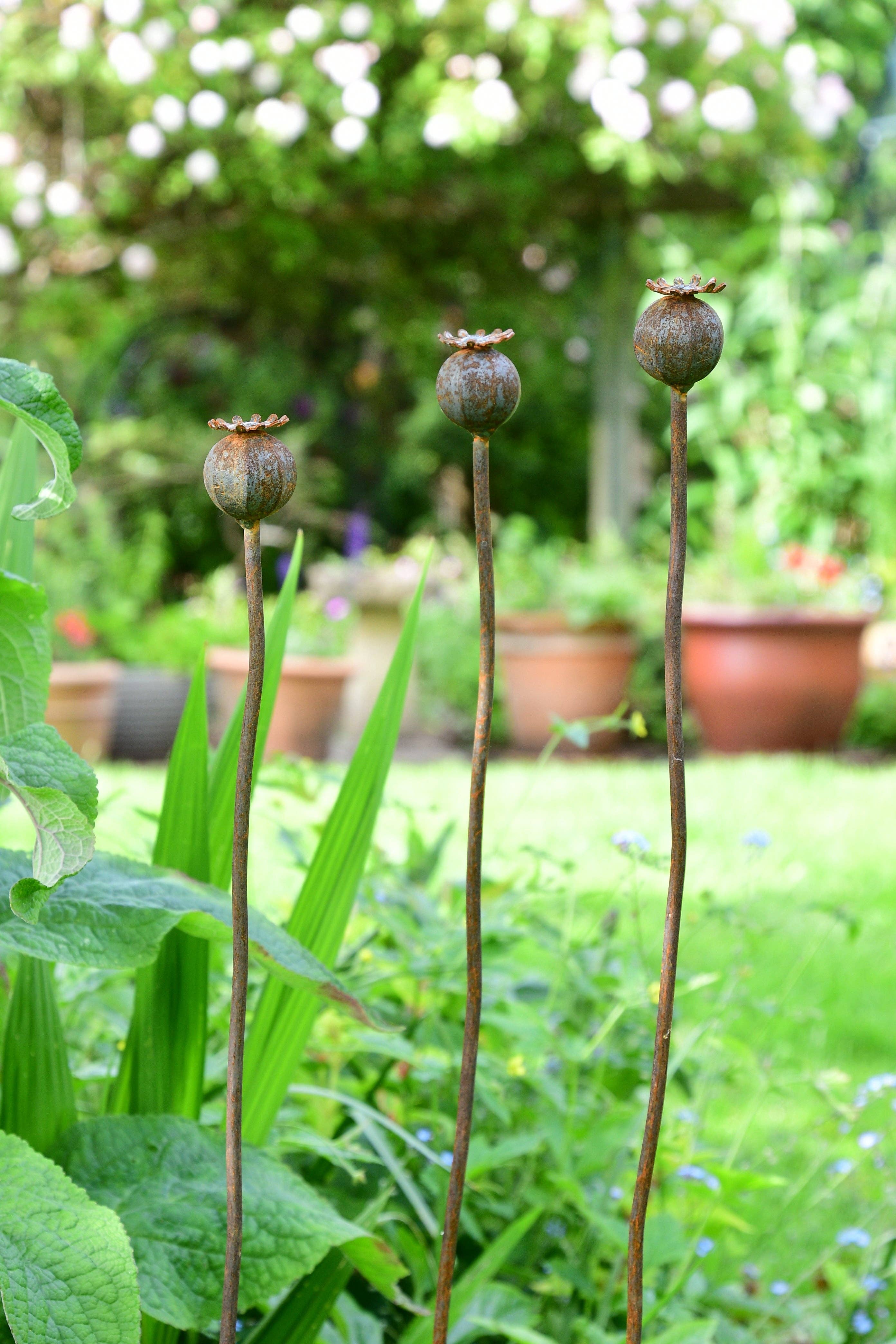 Savage Works – wholesale Garden/lawn stake – Wavy Poppy Seedhead1