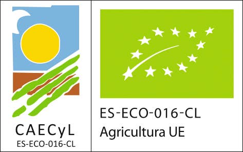 LA CHIPOTLERA - Wholesale Salsa - Macha Picona Sauce 212ml - Roasted Chili Peppers and Peanut1