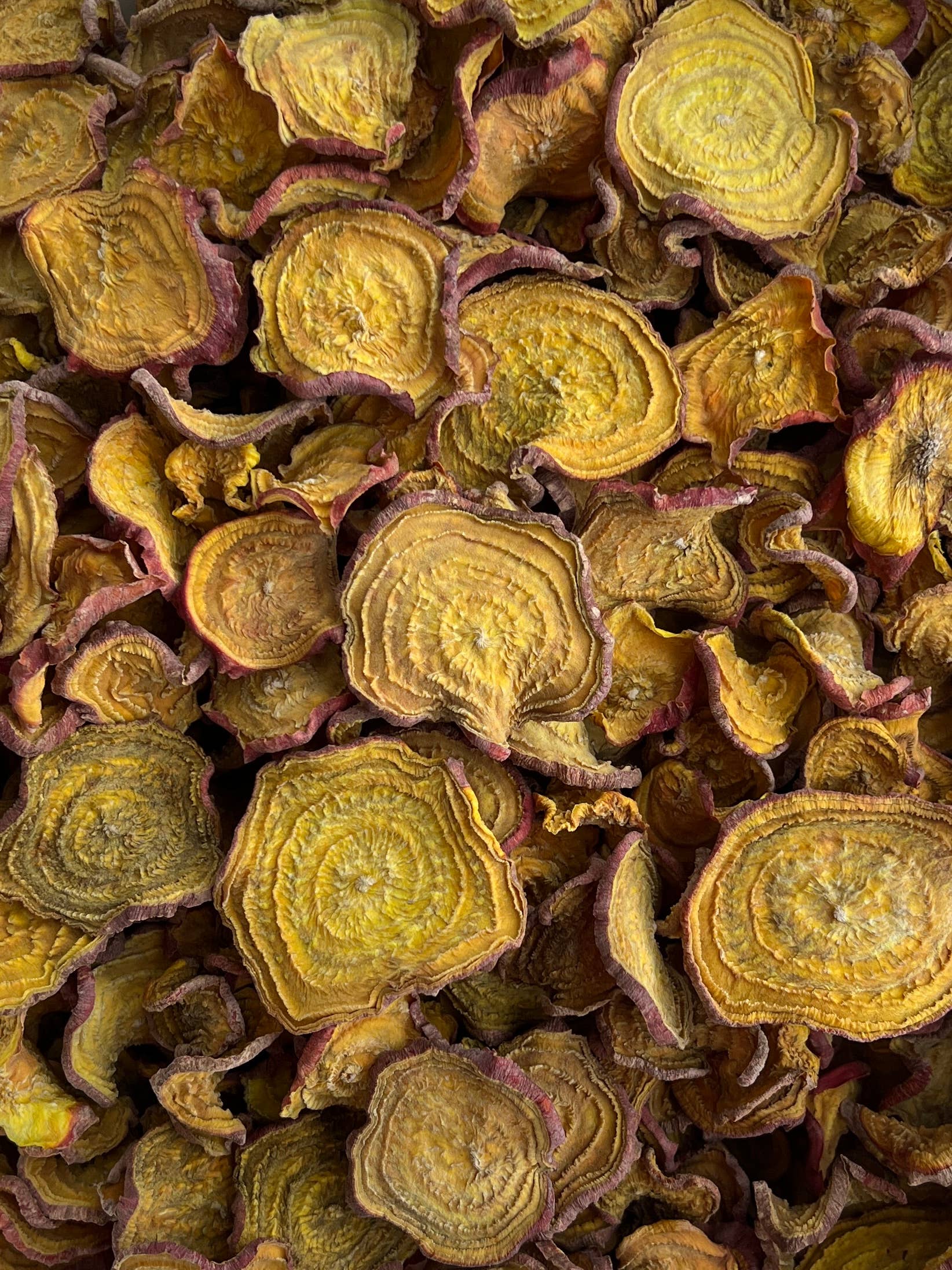 FreshDried - Wholesale Dried/Dehydrated Vegetables - Dried Golden Beet Slices - organic1