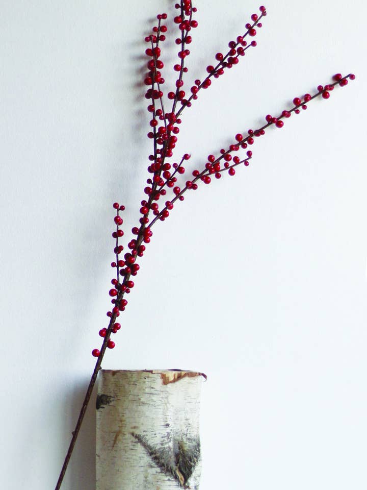 SPRAY BERRY RED 44" EXT for wholesale by Studio Specialties