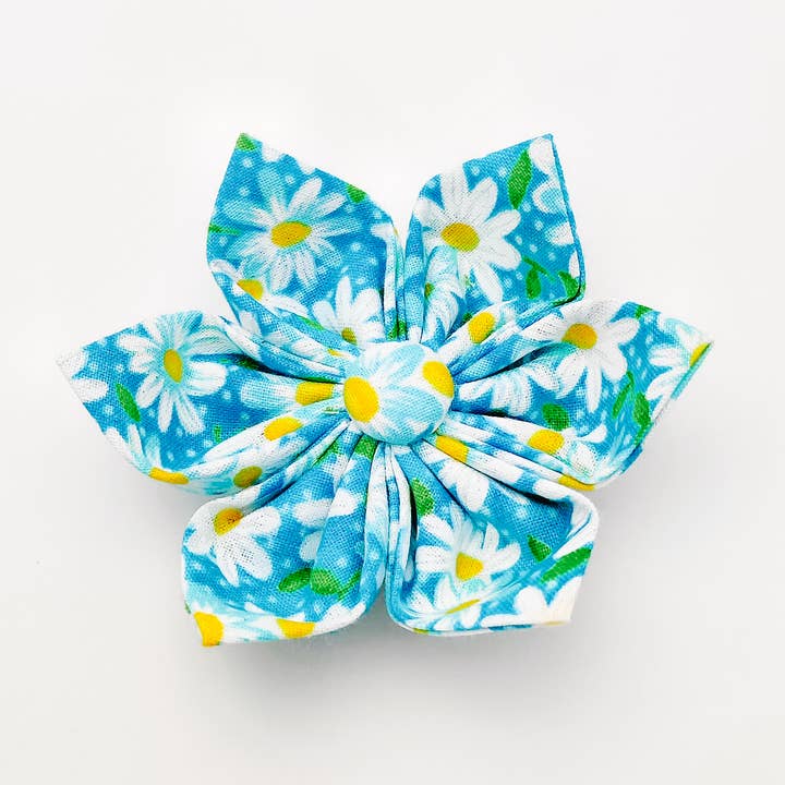 Aqua Daisy Dog Bow Tie and Collar Flower for wholesale by Charlotte's Pet