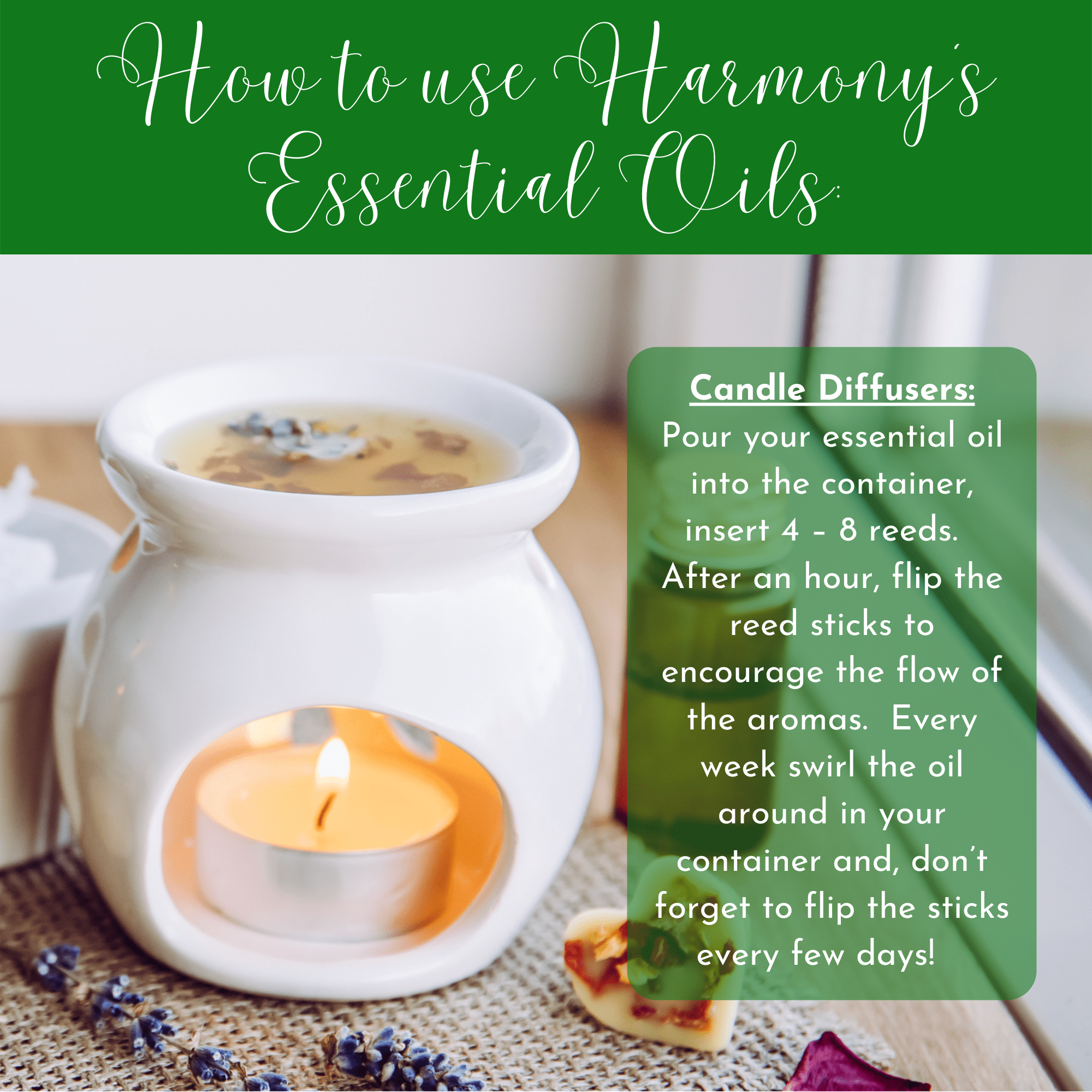 Healthy Energy Amazing Life - Wholesale Essential Oil - H.E.A.L.'s Essential Oils - Tea Tree10