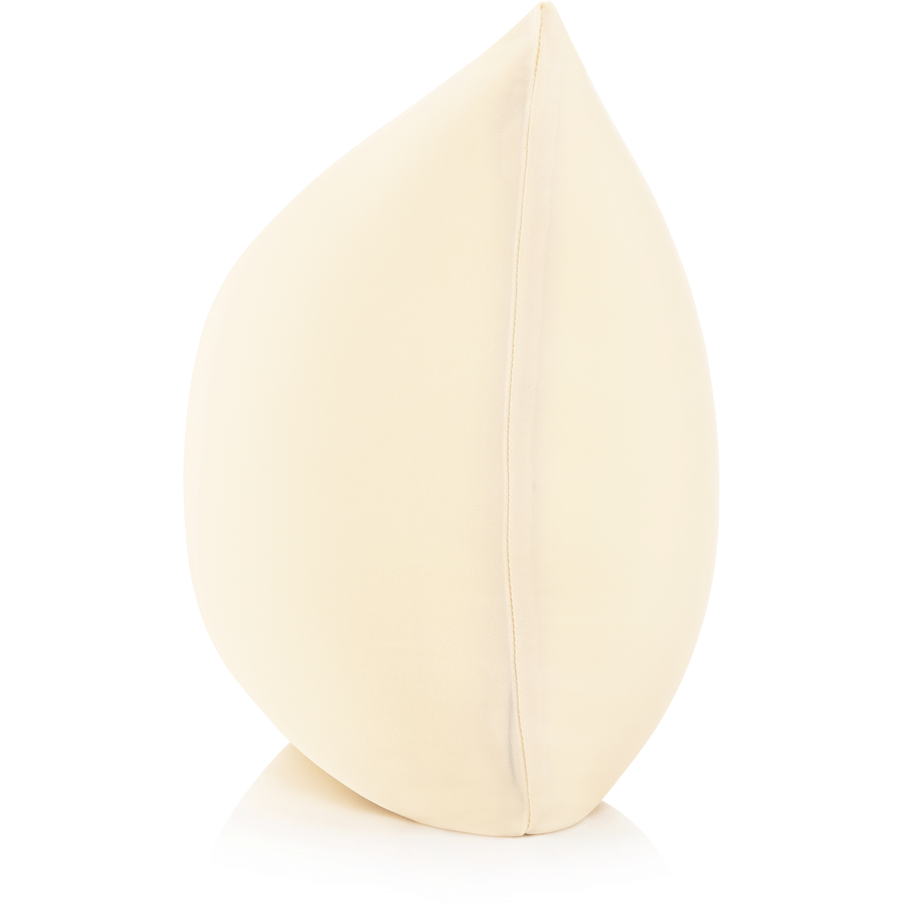 Husband Pillow - Wholesale Throw/Decorative Pillow - 360 - PilSpan-22X22-OffCream17