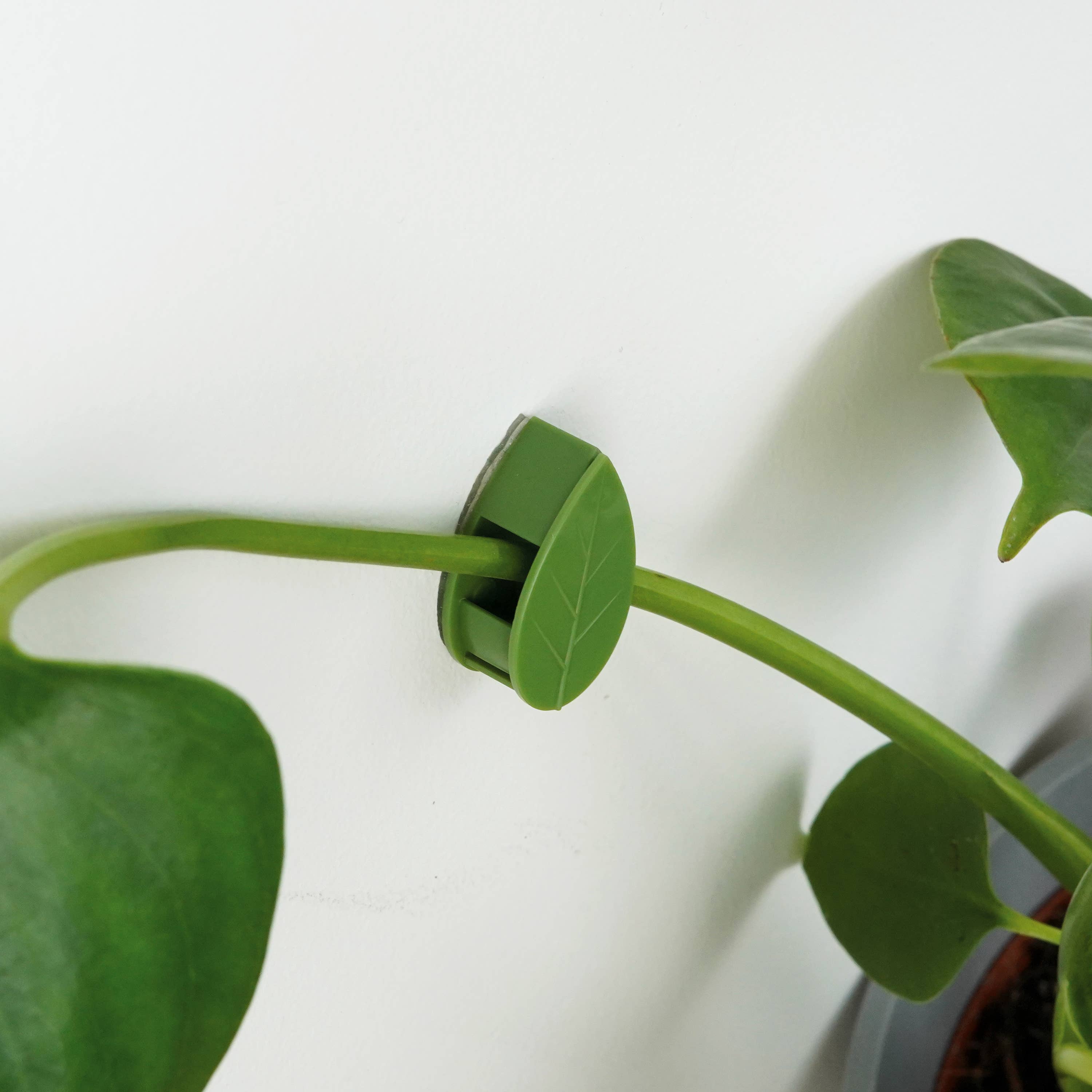 Bubblegum Stuff UK – wholesale Trädgårdsverktyg – Krukväxtklättringsklämmor | Växttillbehör | Present & Hem3