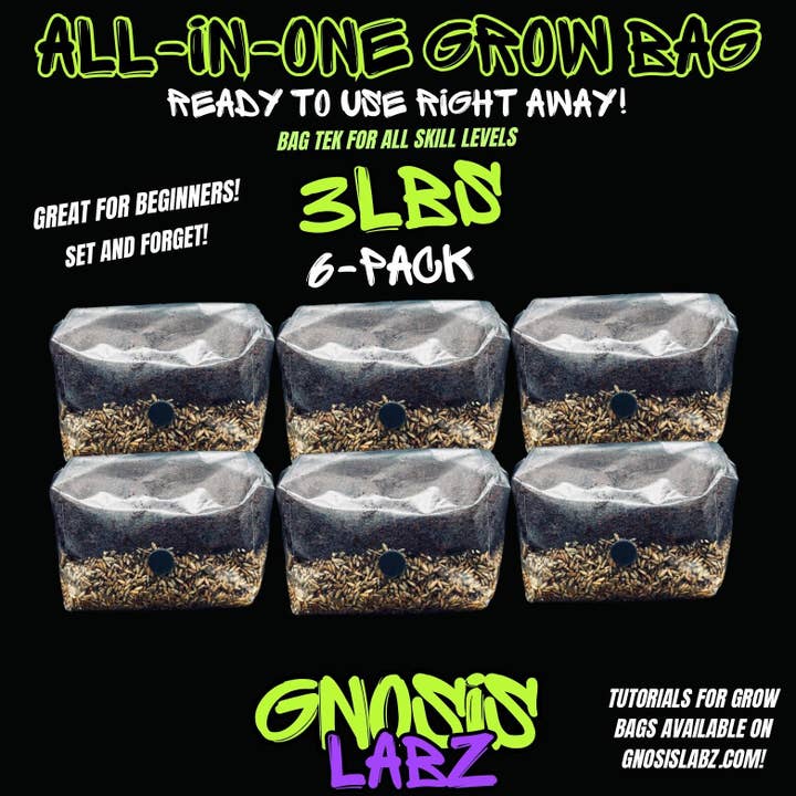 6 Pack of All in One Mushroom Grow Kit Bags (3lbs) with Injection Port and Filter Patch! for wholesale by Gnosis Labz