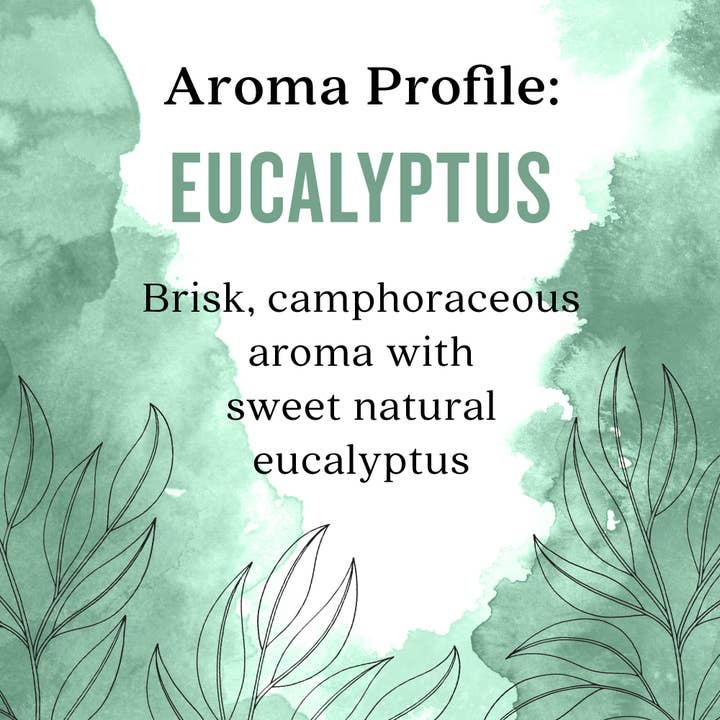 Aura Cacia - Wholesale Essential Oil - Eucalyptus 100% Pure Essential Oil, 0.5 fl oz3