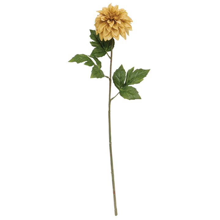 Teastain Dahlia Stem, 24" for wholesale by Saybrook Lane
