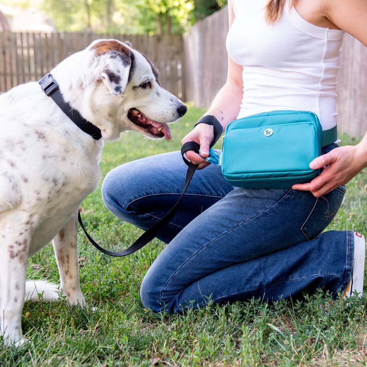 Puppington – Großhandel Bauchtasche – Damen – Puppington 3-in-1 Hundegürtel- und Umhängetasche – Oprah's Favorite Things16