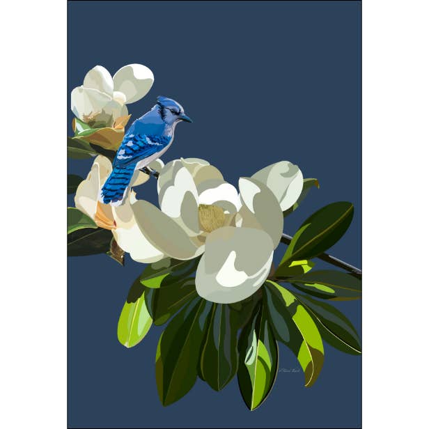 Bluejay on Magnolia Art Print for wholesale by Homeward Studio