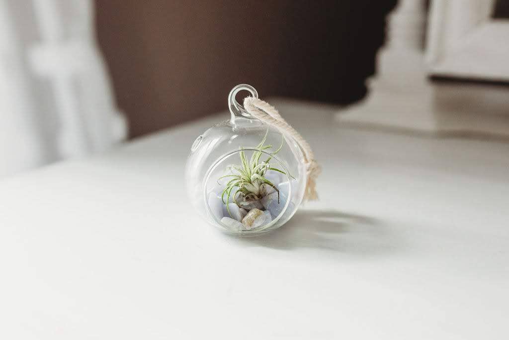 The Simply Crafty Shop - Wholesale Terrarium - Mini Orb Air Plant Terrarium Kit - Semi-Precious Stone52