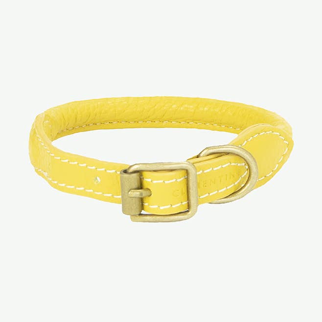 Sitwell Halsband - SENF, extra klein für den Großhandel von Clementine est dogs