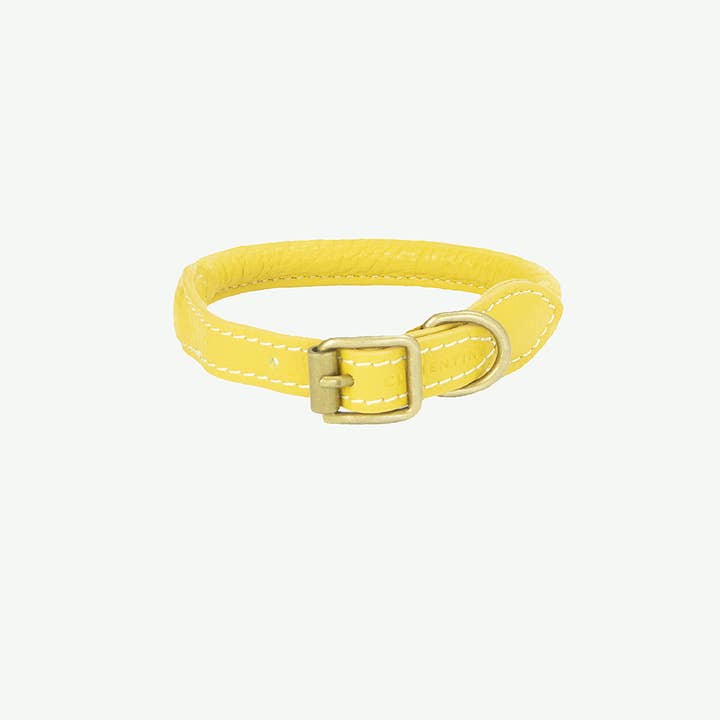Sitwell Collar - MUSTARD, Small for wholesale by Clementine est dogs