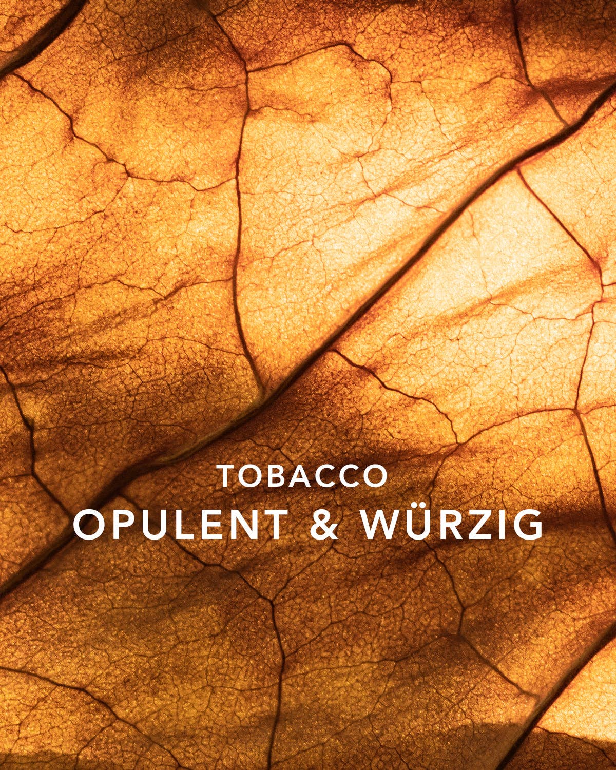 Laay – Großhandel Reed-Diffusor – RAUMDUFT TOBACCO NOIR 250ML4