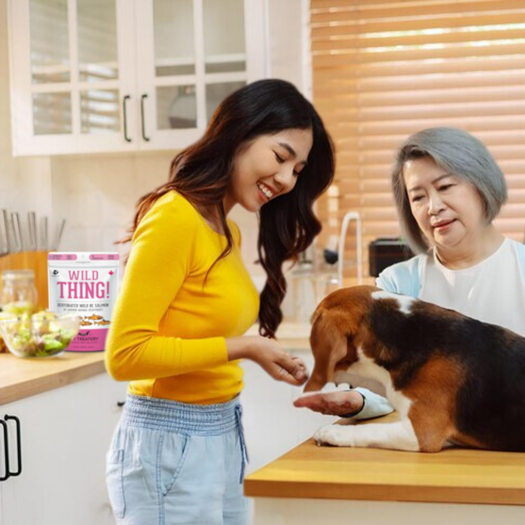 The Granville Island Pet Treatery (USA) - Wholesale Pet Treats - Dog - Wild Salmon Dehydrated Pet Treats: Omega-3 & High-Protein7