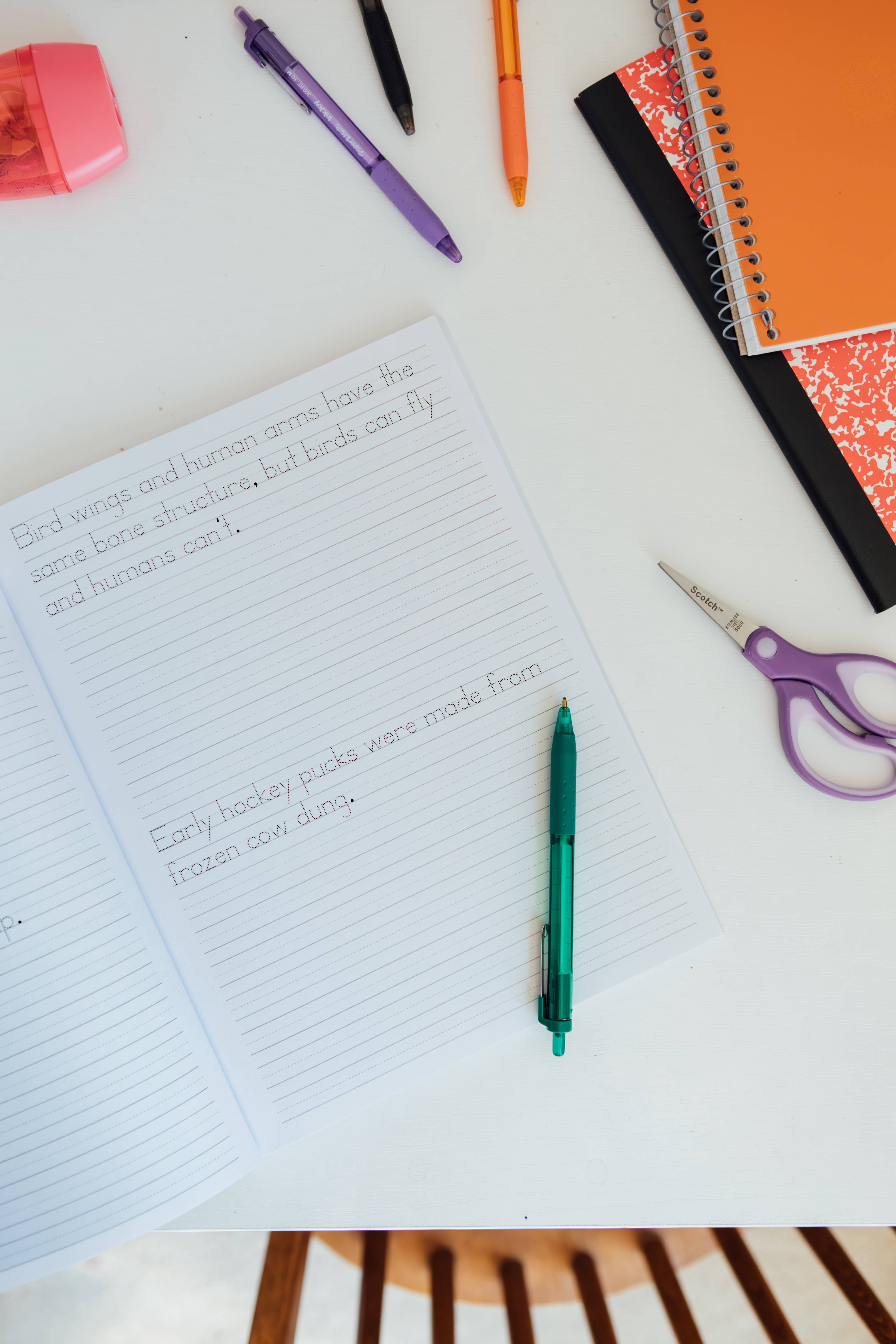 Blue Star Press - Wholesale Middle Grade Book (9-12) - Print Handwriting Practice for Kids 8-12 (with fun facts!)6