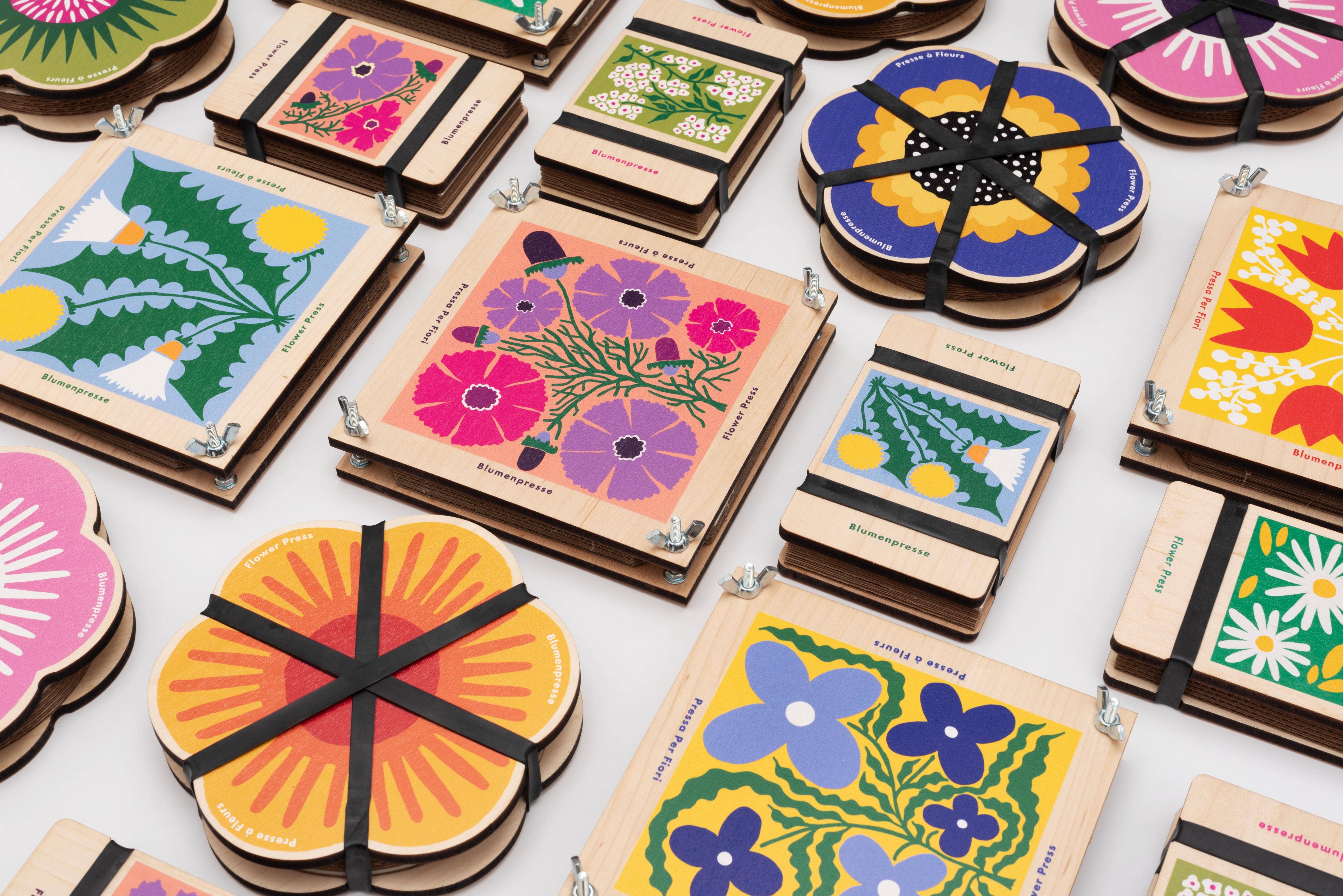 Studio Wald - UK Made - Wholesale DIY Craft Kit - Flower Press - Cosmos6