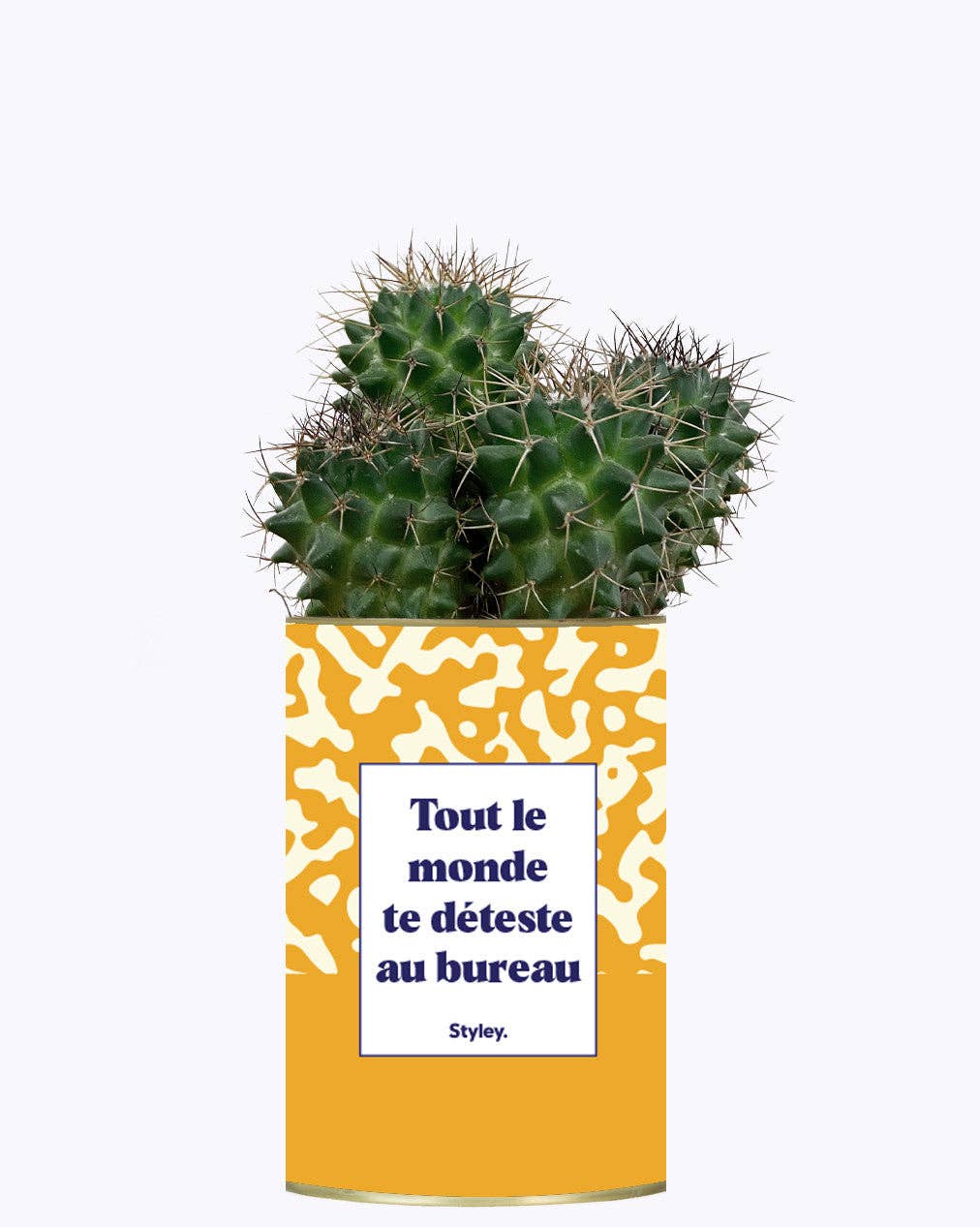 Styley - Wholesale Live Plant - Tout Le Monde Te Déteste Au Bureau - Cactus1