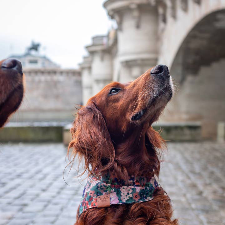 Atelier Markiz - Vendita all'ingrosso Bandana - Cani - Bandana Scarlett con motivo floreale2