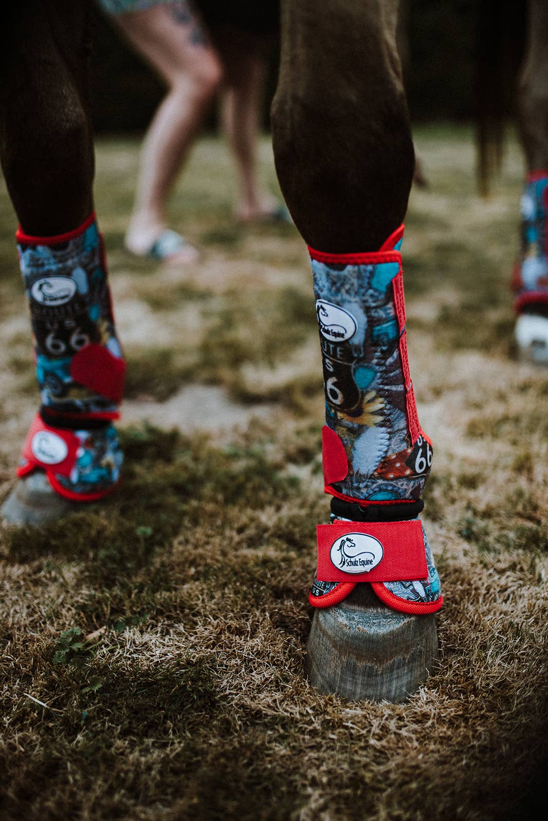 Schulz Equine - Vendita all'ingrosso Attrezzatura da equitazione - Stivali sportivi AirFlow - Confezione da 242