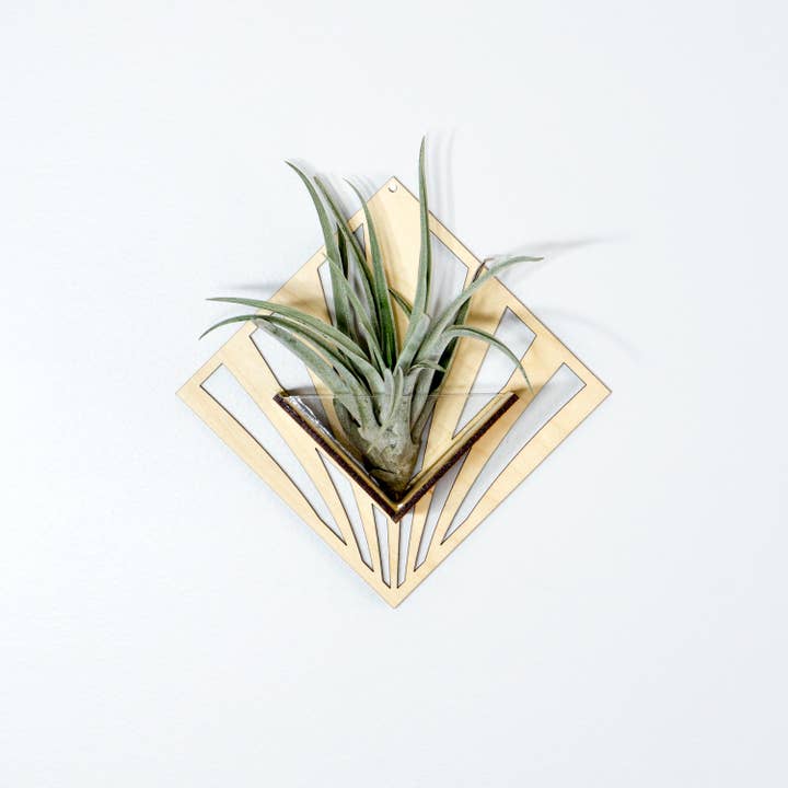 LIGHT RAZOR DESIGN STUDIO - Wholesale Wall planter - Air Plant Holder / Quadrate Wall Hanging Planter 299