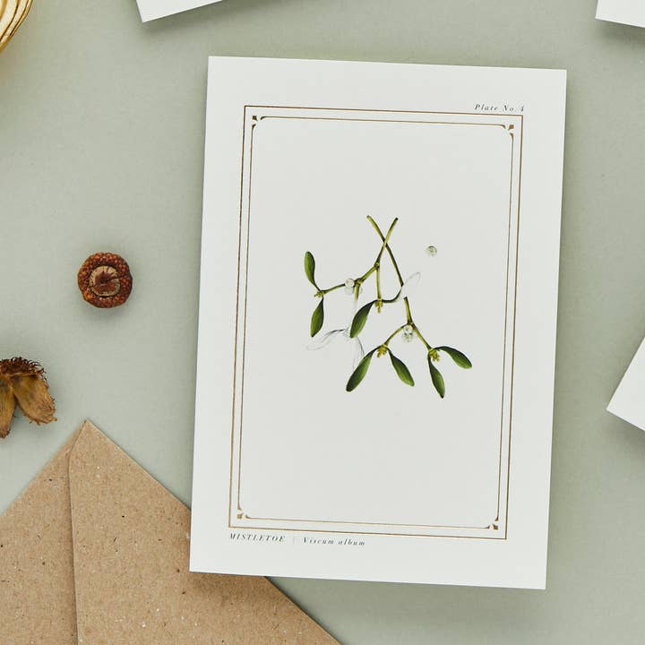 Catherine Lewis Design - Wholesale Christmas Card - Mistletoe - 'The Botanist Archive : Festive Edition' - Card1