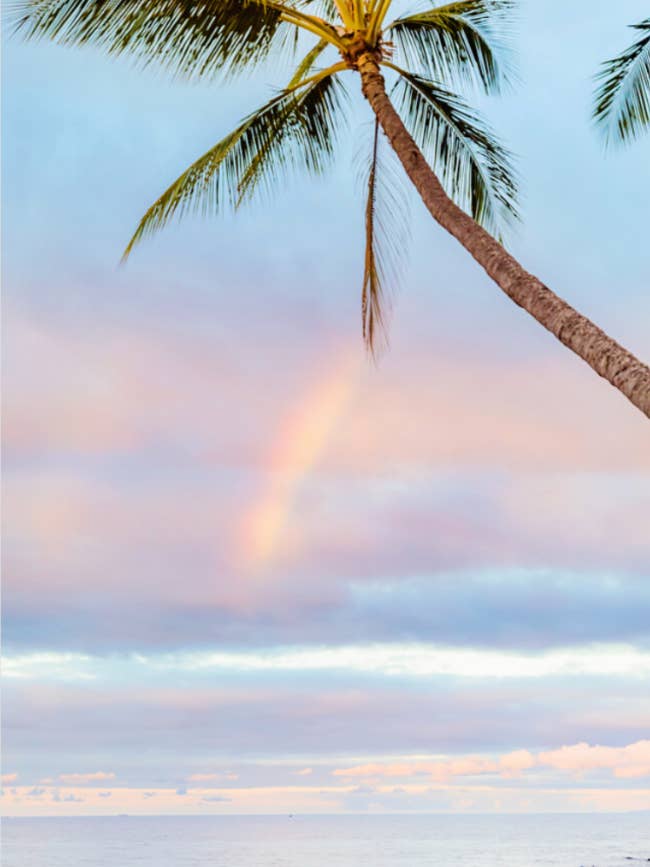 Arc-en-ciel sur la mer pour la vente par Love + Water Photography