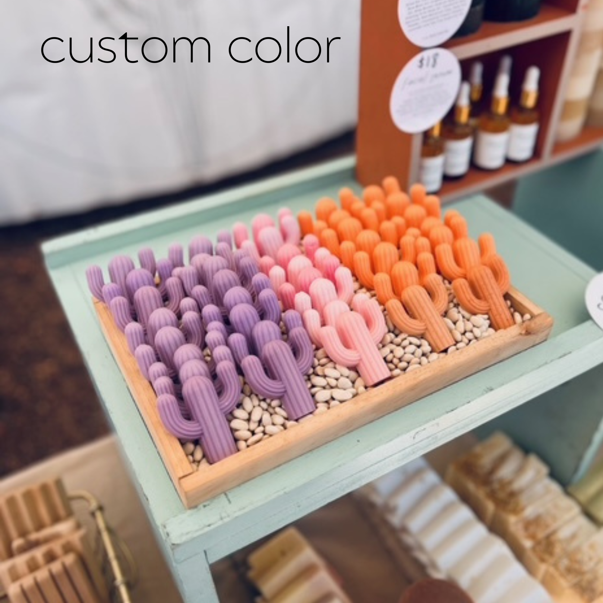 Naked Fig – sabonete sólido por atacado – Mini Sabonete para Cactus - Individual (individual)22