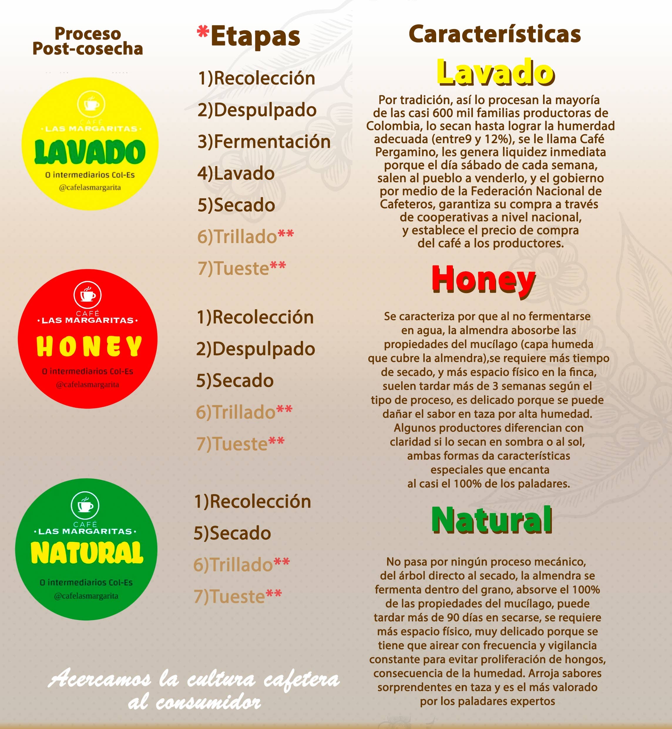 Café Las Margaritas - Wholesale Coffee Beans - Specialty Coffee 4x250g Honey & 4x250g Natural GRAIN10