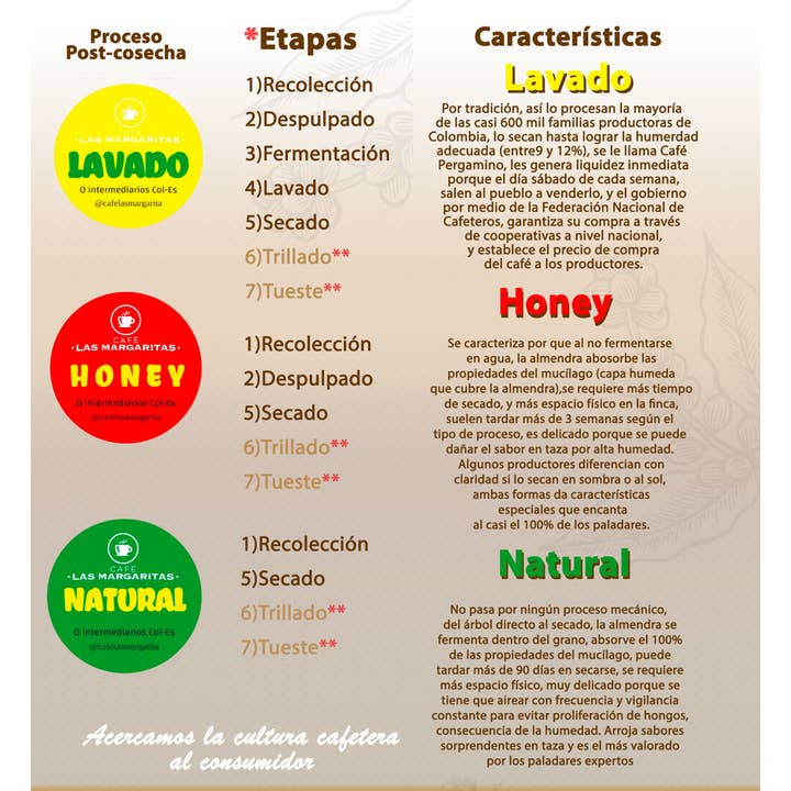 Café Las Margaritas - Wholesale Coffee Beans - Specialty Coffee 4x250g Honey & 4x250g Natural GRAIN10