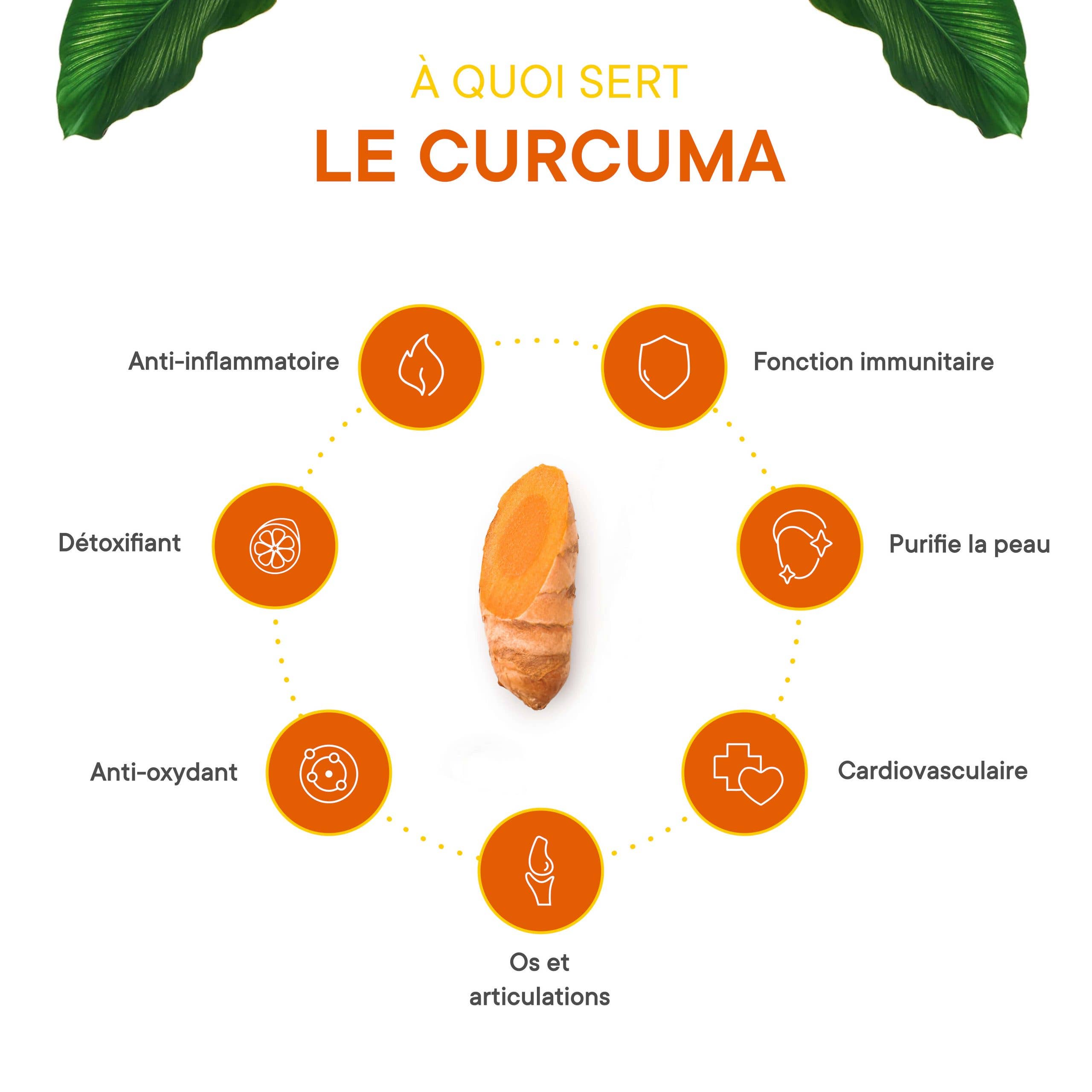 Vegalia - Vente Supplément oral/vitamine - Curcuma bio gingembre & poivre noir 200 gélules4