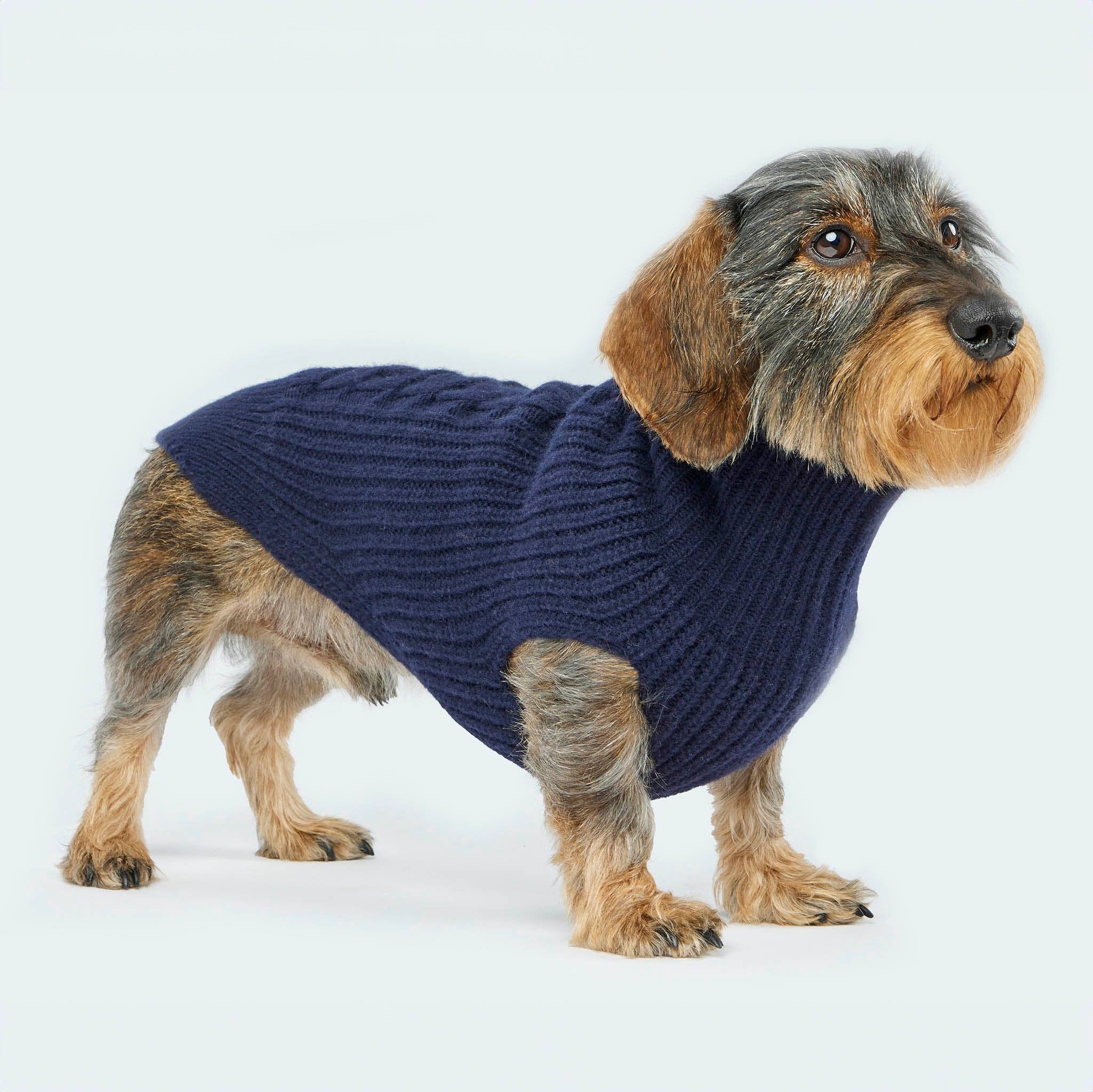 ​​Leopold's Finest for dogs - Wholesale Pet Sweater - Dog - Dark blue dog sweater8