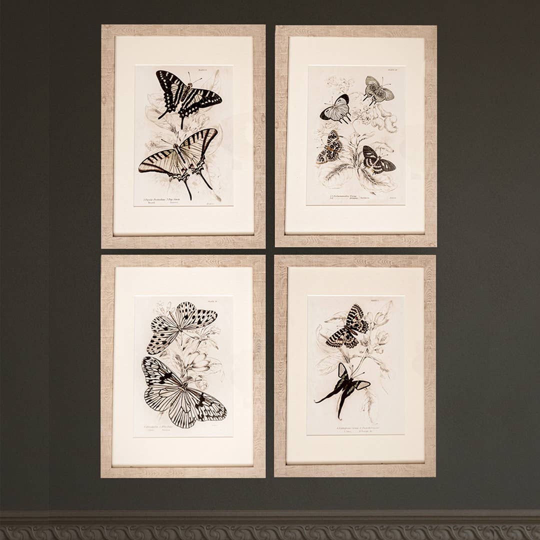 Coultura - Wholesale Gallery Wall Set - Framed Set of Four Vintage Butterfly Art Prints 01 (Sand Frame Collection)