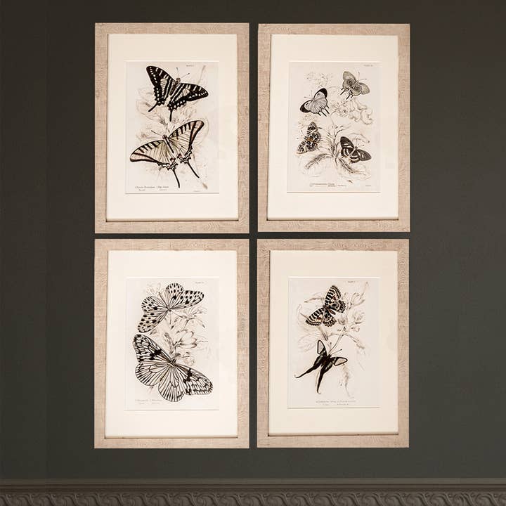 Coultura - Wholesale Gallery Wall Set - Framed Set of Four Vintage Butterfly Art Prints 01 (Sand Frame Collection)0
