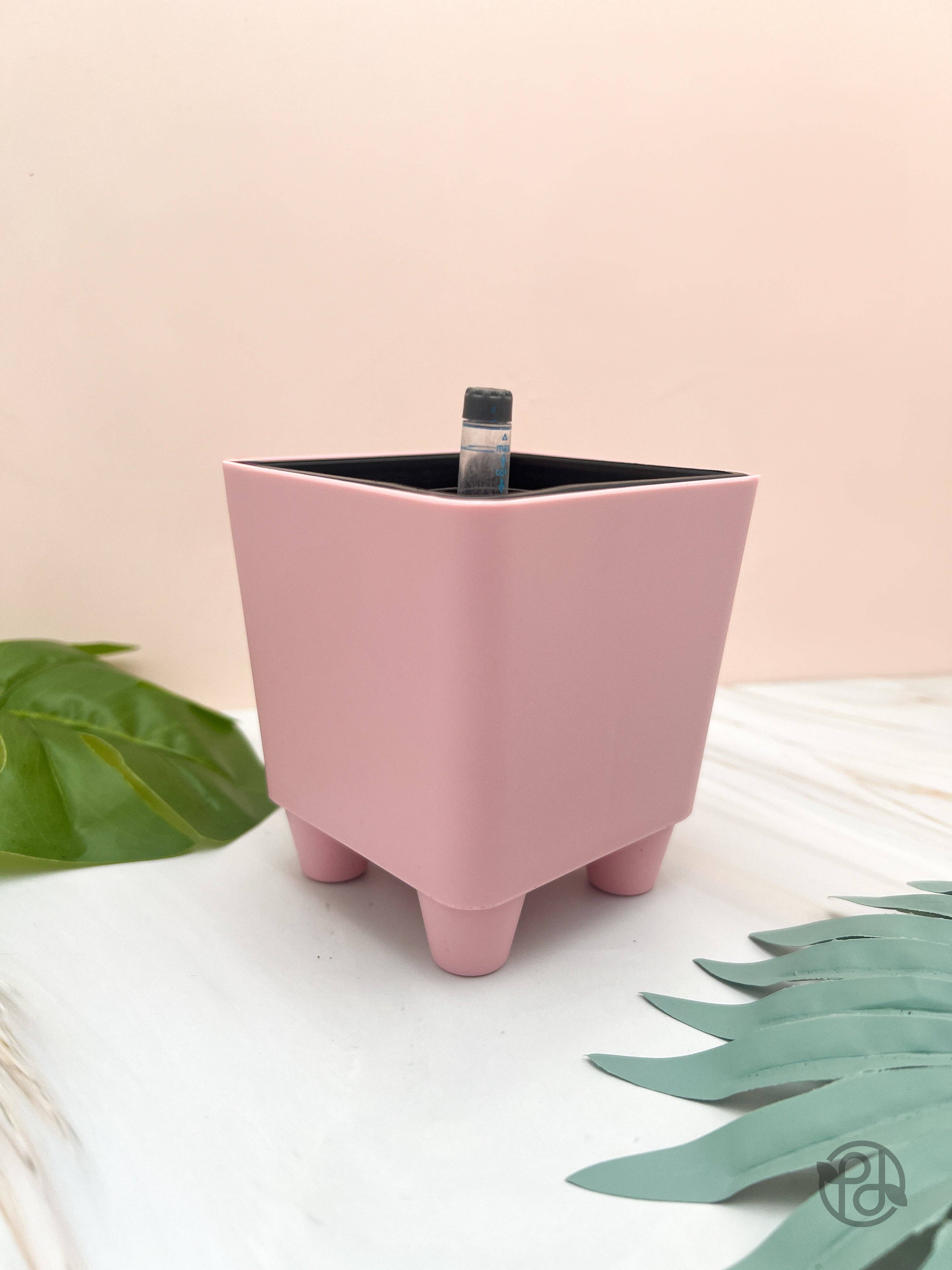 Propagation Diaries - Wholesale Plant Pot - 4" Self Watering Moo Pot6