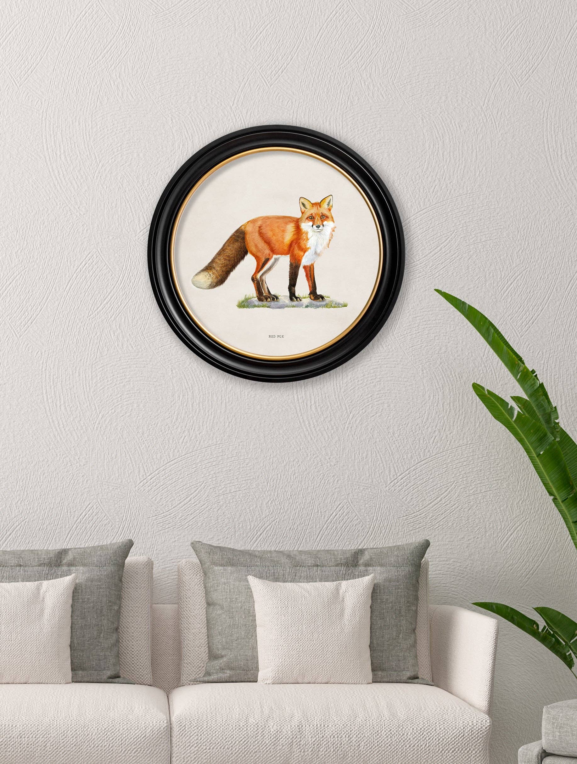 T A Interiors Wall Art & Mirrors – wholesale Art print – Red Fox - Round Frame2