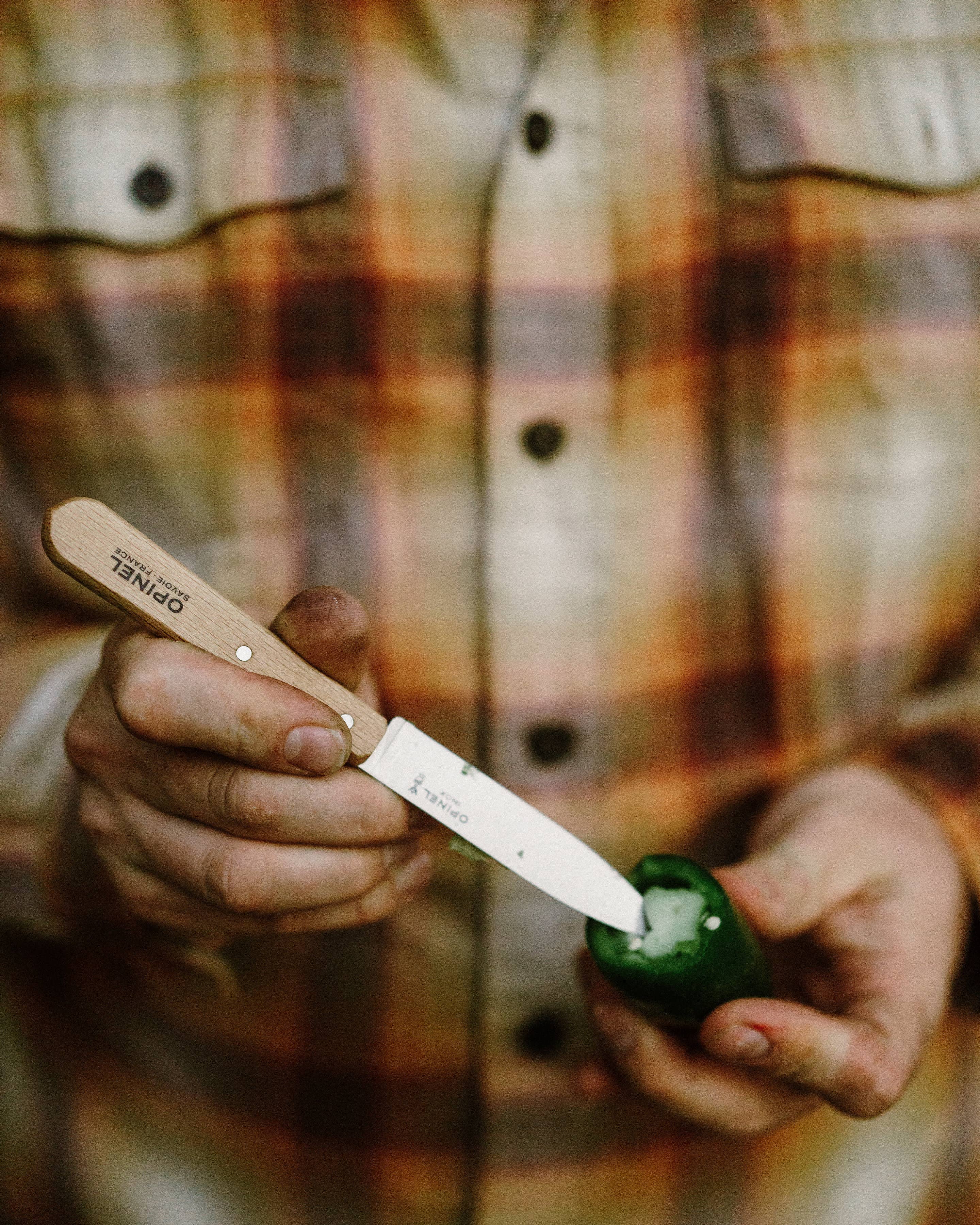 Opinel - Wholesale Kitchen/Utility Knife - Counter Display of 6 Box of 2 No.112 Stainless Paring Knives3