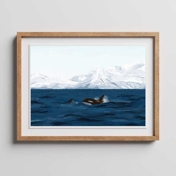 Hvalsafari Kunsttryk for engroshandel hos Charis Raine Illustration