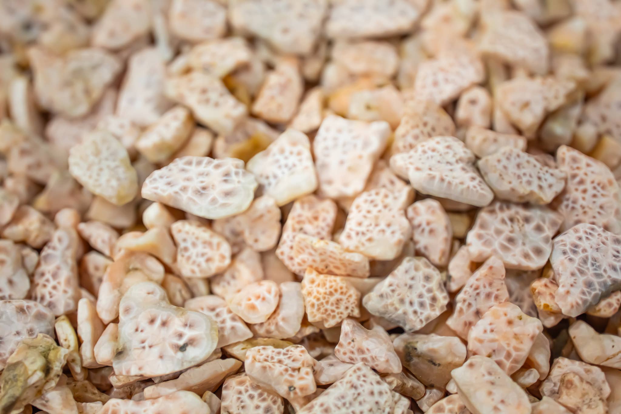 Quasar Gems USA - Vendita all'ingrosso Pietra/cristallo spirituale - Natrolite rosa o Larimar rosa da 250 g1