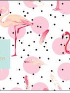 Dreamcatcher gratulationskort - Box 158 för wholesale av POSkaart | De Groot Design