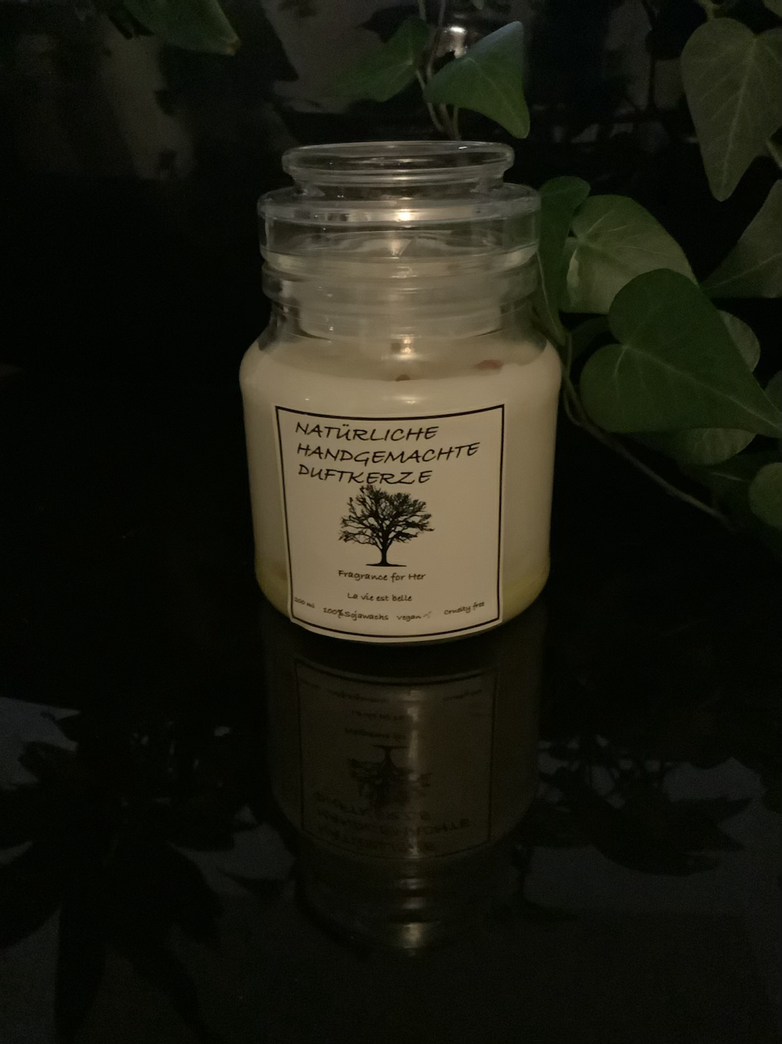 Cerei - Wholesale Jar/Filled Candle - LavieestBelle for you3