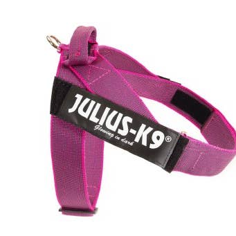 Julius K9 Beltach - Dog Tiger - Pink - Size 1 - 63-85 cm for wholesale by K9 Shop