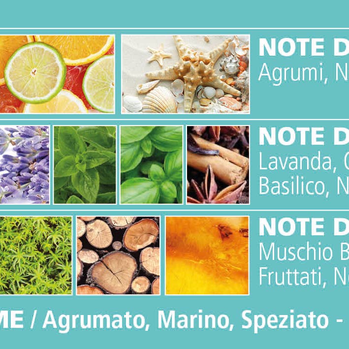 Acqua Di Bolgheri - Wholesale Perfume/Eau de Toilette - Mistral Perfume3