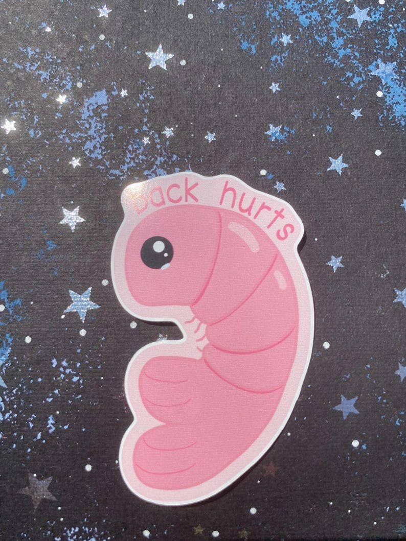 AstroManatee Shop - Wholesale Sticker - Shrimp Back Hurts 2.5” Waterproof Sticker2