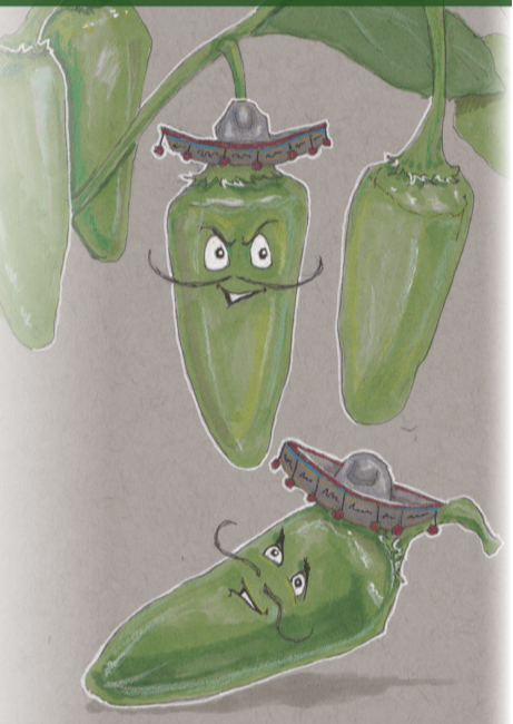 Sow True Seed - Wholesale Plant Seeds - Hot Pepper Seeds - Early Jalapeño1