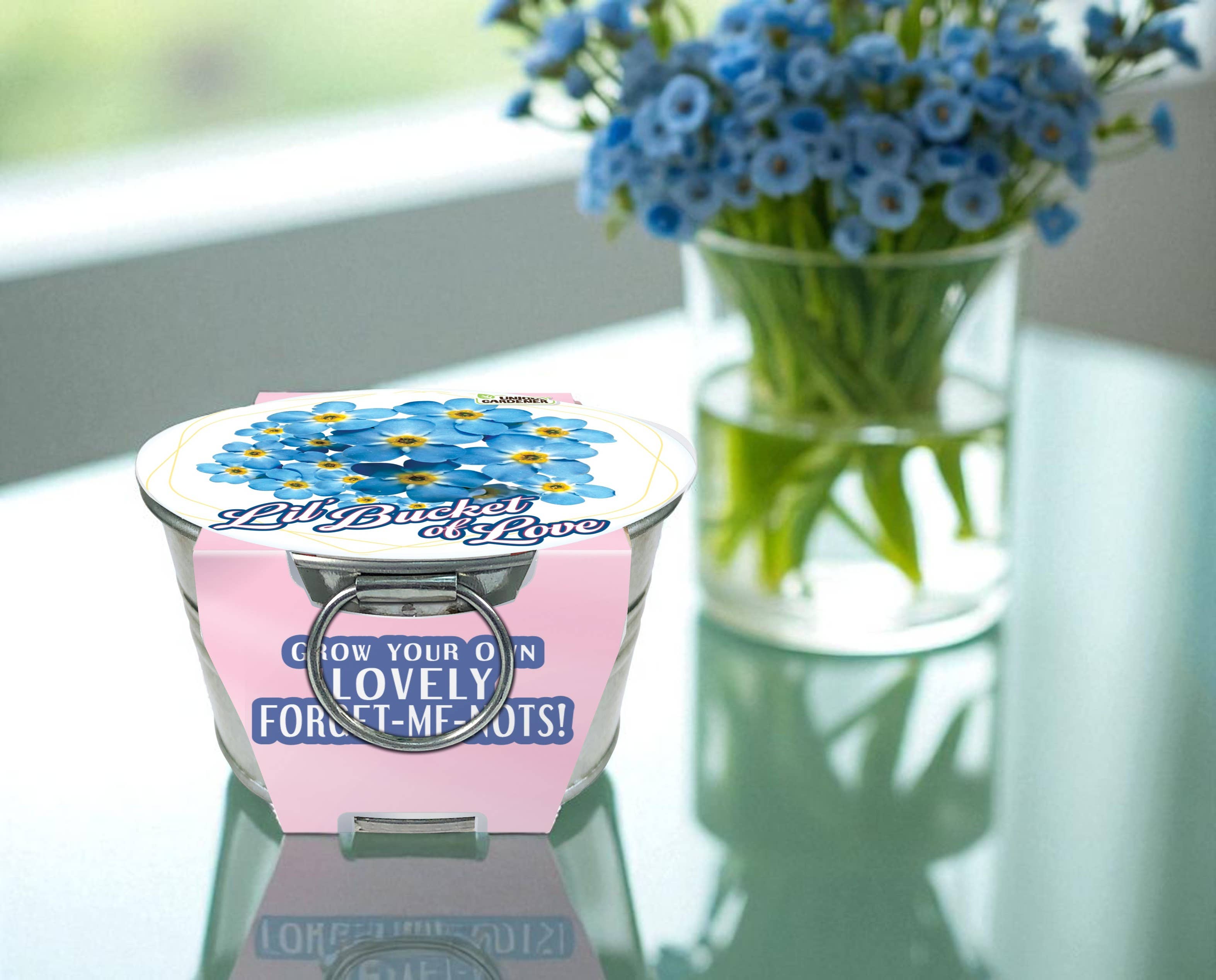 Silver Circle Products - Wholesale Plant Seeds - Lil' Bucket of Love - Grow Your Own Forget-Me-Nots3