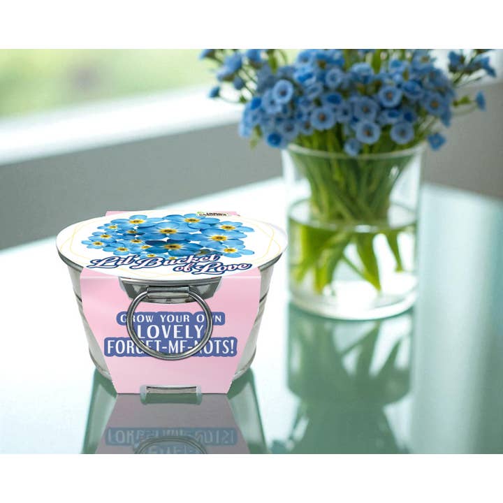 Silver Circle Products - Wholesale Plant Seeds - Lil' Bucket of Love - Grow Your Own Forget-Me-Nots3