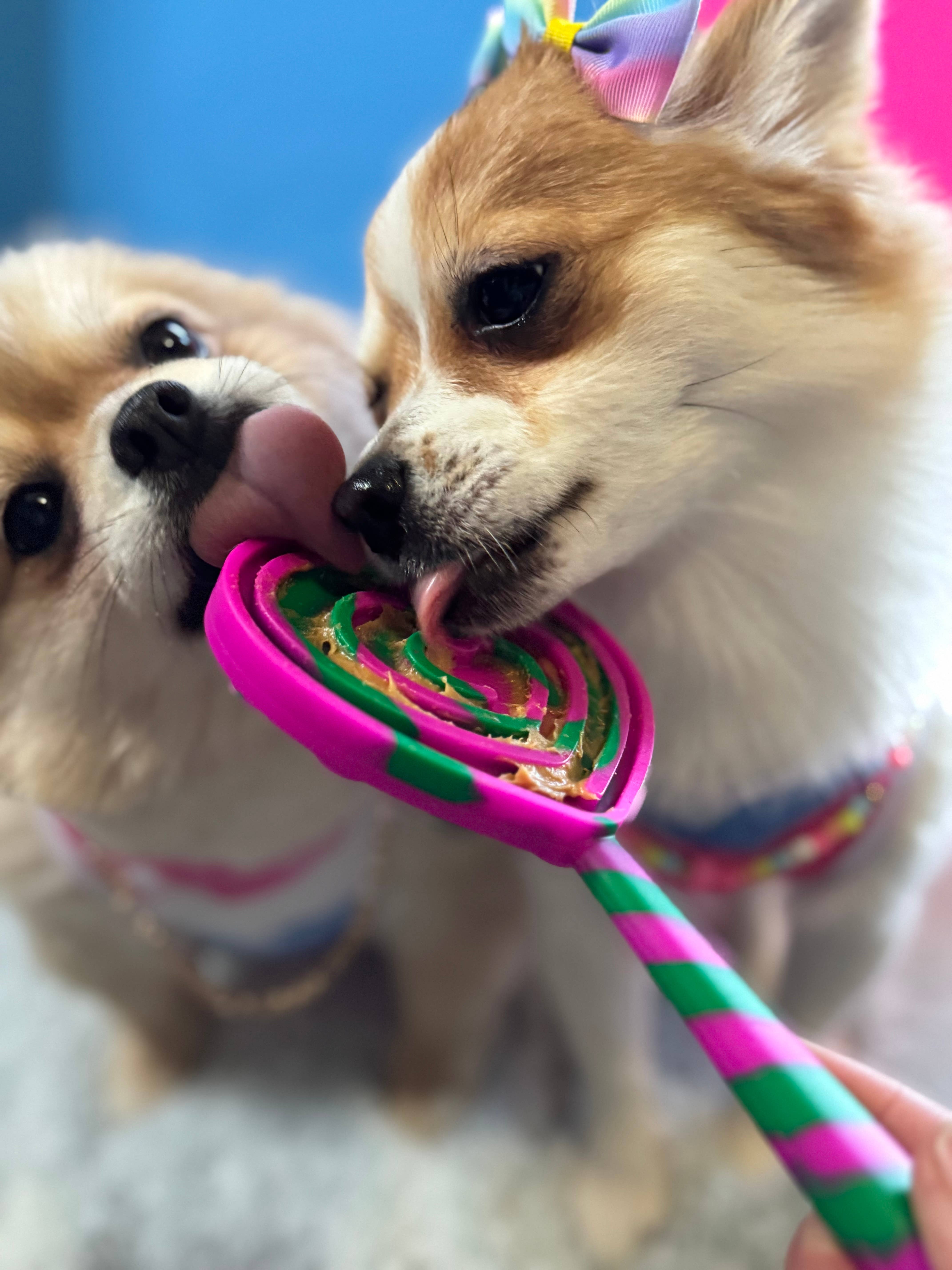 Spunky Pup - Vente Tapis de gamelle – chien - Lick Pops - Spatules à lécher pour chiens et chats5