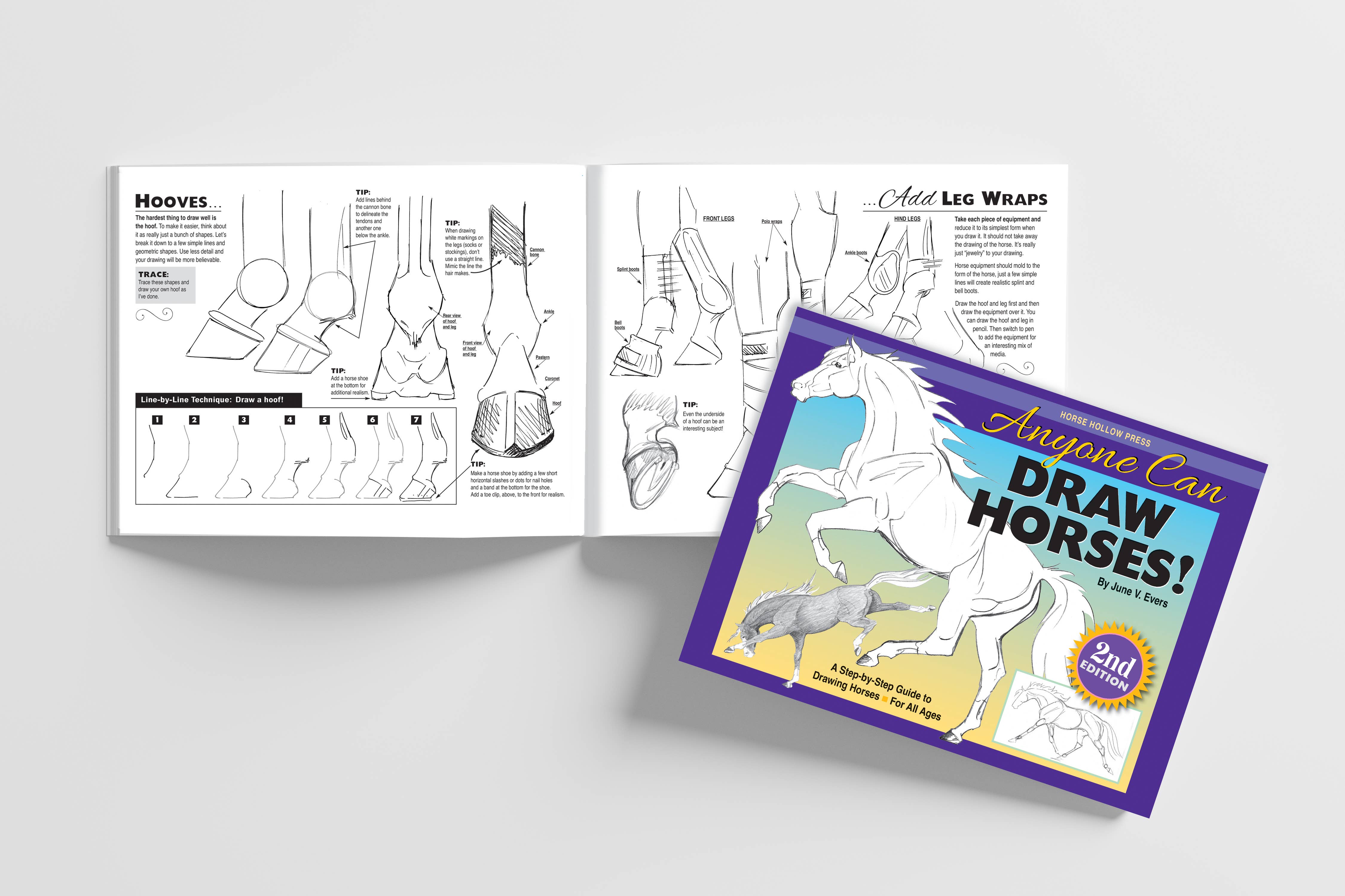 Horse Hollow Press / Pretty, Funny, Snarky Cards & Stickers - Wholesale Coloring & Activity Book - Adult - Art Book Horse Equestrian / Anyone Can Draw Horses / All Age6