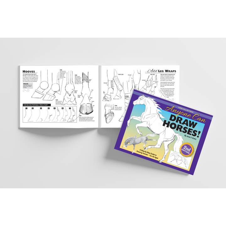 Horse Hollow Press - Wholesale Coloring & Activity Book - Adult - Art Kit Horse Equestrian / Anyone Can Draw Horses Art Kit 11