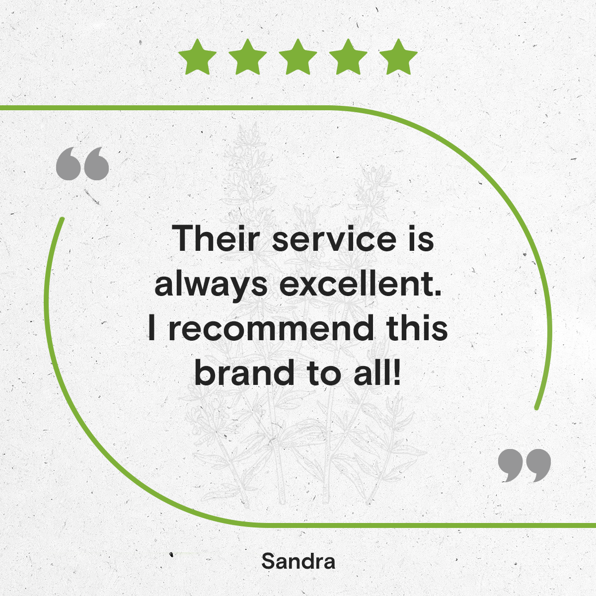 Secrets Of The Tribe - Vendita all'ingrosso Tinture - Tintura di issopo10